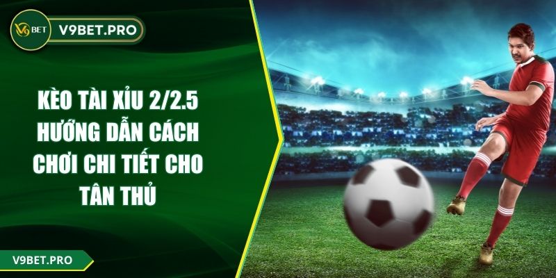 Kèo Tài Xỉu 2/2.5 Hướng Dẫn Cách Chơi Chi Tiết Cho Tân Thủ